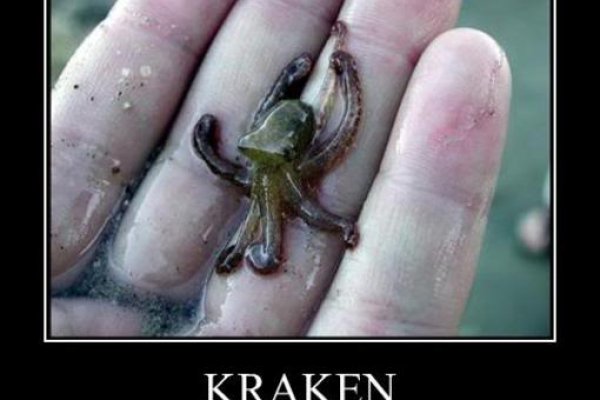 Kraken 23 at