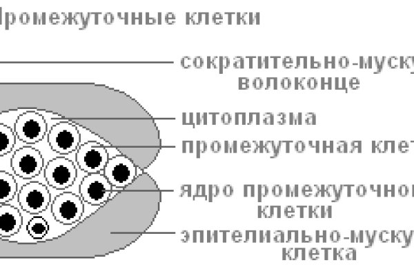 Kraken ltd